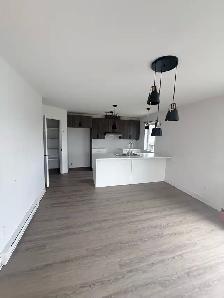 Post-Renovation Cleaner Wanted