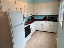 Furnished Heat Lights Internet Parking Downtown Apartment Nov.1 - Photo 4