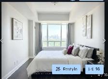fully furnished 1bdr 1 bath 1 dent for rent - Photo 5