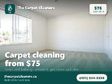 Carpet Cleaning Winnipeg - 1 Bedroom $75, Stairs Included