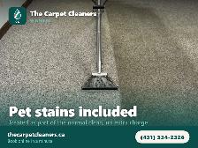 Carpet Cleaning Winnipeg - 1 Bedroom $75, Stairs Included - Photo 2