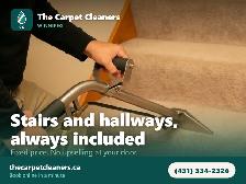 Carpet Cleaning Winnipeg - 1 Bedroom $75, Stairs Included - Photo 3