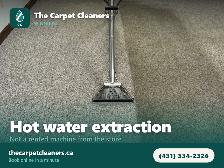 Carpet Cleaning Winnipeg - 1 Bedroom $75, Stairs Included - Photo 4