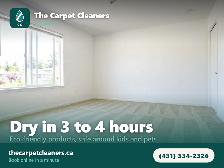 Carpet Cleaning Winnipeg - 1 Bedroom $75, Stairs Included - Photo 5