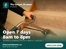 Carpet Cleaning Winnipeg - 1 Bedroom $75, Stairs Included - Photo 6