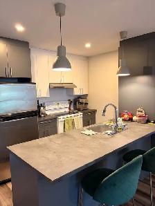2 Beds 1 Bath - Apartment - CA$1,525 / Month - Photo 9