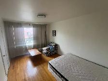 Condo rénové 2 chambres à louer - Rosemont/Masson - 1450$ - Photo 3