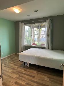 2-Bedroom Walkout Suite | Separate Entrance & Fenced Backy - Photo 2