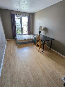 Large room on Woodroffe/Majestic, 4 mins to Algonquin. ASAP