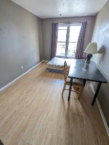 Large room on Woodroffe/Majestic, 4 mins to Algonquin. ASAP - Photo 3