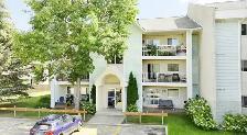 Furnished 1 Bedroom Apartment