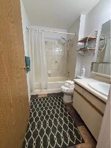 Furnished 1 Bedroom Apartment - Photo 4