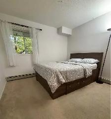 Furnished 1 Bedroom Apartment - Photo 10