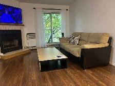 Furnished 1 Bedroom Apartment - Photo 14