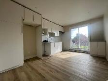 1650$ /5.5 à louer dès MAINTENANT / Appartement TOUT NEUF - Photo 3