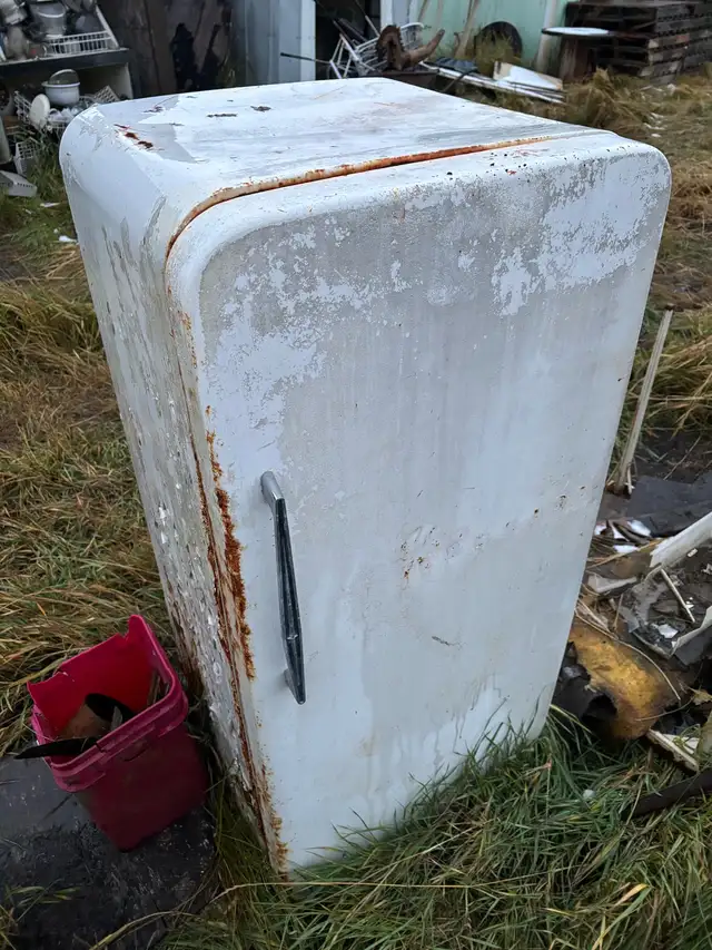 Vintage fridge