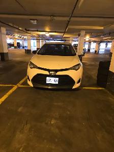 2019 Toyota Corolla For Sale - Photo 2