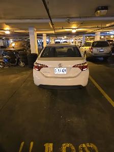 2019 Toyota Corolla For Sale - Photo 3