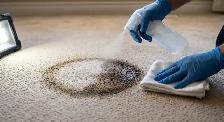 Carpet Cleaning Calgary - Two Rooms $149, Hot Water Extract - Photo 4
