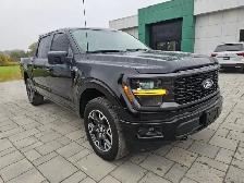 2024 Ford F-150 STX STX 4WD SuperCrew 5.5&amp.apos. Box - Photo 3
