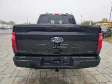 2024 Ford F-150 STX STX 4WD SuperCrew 5.5&amp.apos. Box - Photo 6