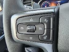 2026 Chevrolet Silverado 1500 LT Trail Boss Crew Cab Short Box 4 - Photo 43