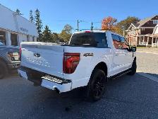 2025 F150 Lariat - Photo 2