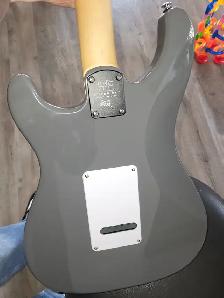 PRS silver sky se overland grey - Photo 9
