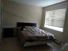 A spacious one-bedroom apt, top floor, October, Heat included - Photo 10