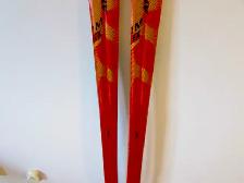 NEWSkis Atomic TM EX Beta 191CM Long FreerideNEW - Photo 4