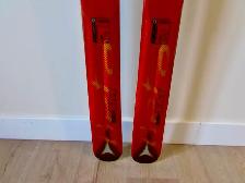 NEWSkis Atomic TM EX Beta 191CM Long FreerideNEW - Photo 9