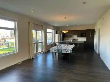 Spacious New House with 4 Bedrooms Upstairs in Bridgewater - Photo 3