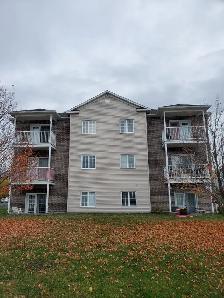 A louer - grand condo 4 1/2 Sherbrooke