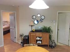 A louer - grand condo 4 1/2 Sherbrooke - Photo 3