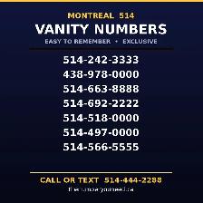easy to remember 514 montreal exclusive phone numbers for sale