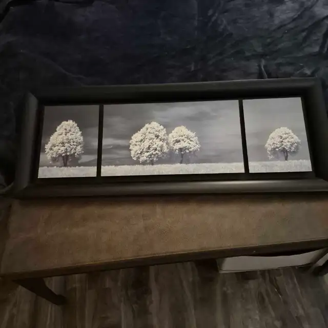artwork/ picture