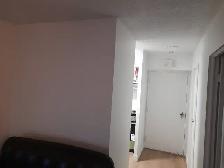 Beau studio à sous-louer / Stunning studio for sublet - Photo 2