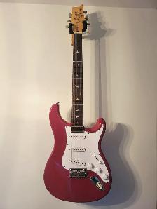 PRS silver sky se Dragon fruit