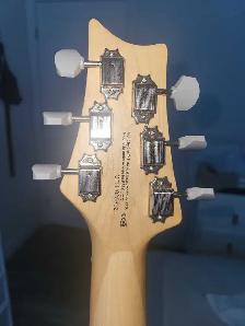 PRS silver sky se Dragon fruit - Photo 9