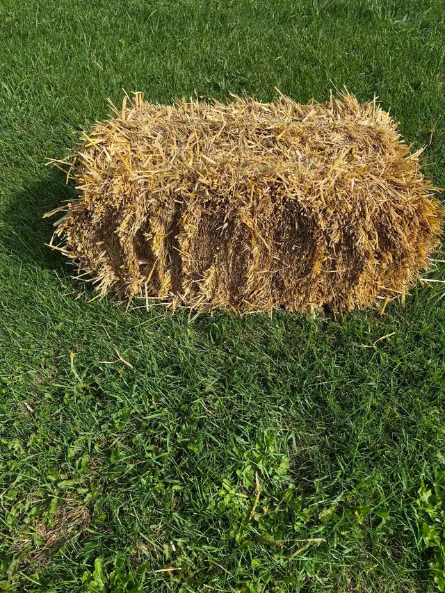 OAT STRAW FOR SALE