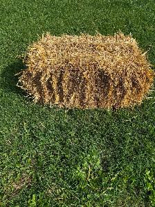 OAT STRAW FOR SALE