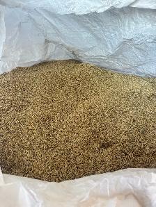 oats forsale