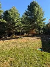 New house for sale BANCROFT  2 bedroom 1 bath on a 2.7 acre lot! - Photo 2