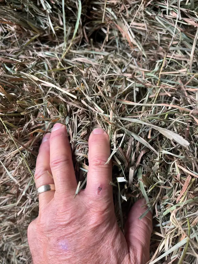 small square hay bales