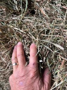 small square hay bales