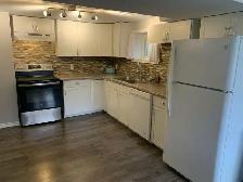 Beautiful 2 Bedroom Basement Apartment with Private Backyard - Photo 3