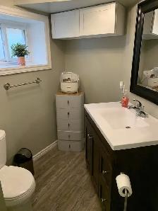 Beautiful 2 Bedroom Basement Apartment with Private Backyard - Photo 9