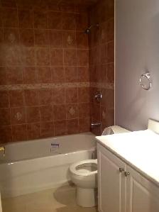Beautiful spacious bright Basement 1 Bedroom apartment for Rent - Photo 3