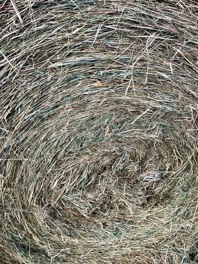 Large Round Bales