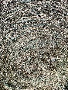 Large Round Bales